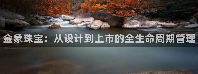 开丰娱乐平台地址查询：金象珠宝：从设计到上市的全生命周期管理