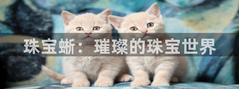 开丰娱乐登陆地址：珠宝蜥：璀璨的珠宝世界