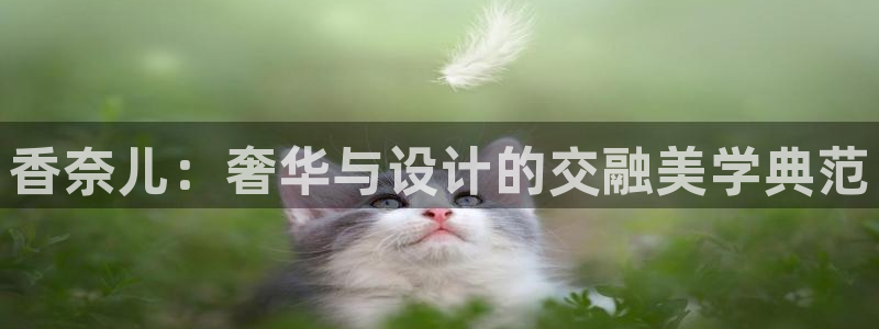 开丰娱乐前：香奈儿：奢华与设计的交融美学典范