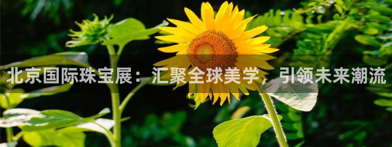 开丰娱乐官网登录平台：北京国际珠宝展：汇聚全球美学，引领未来潮流