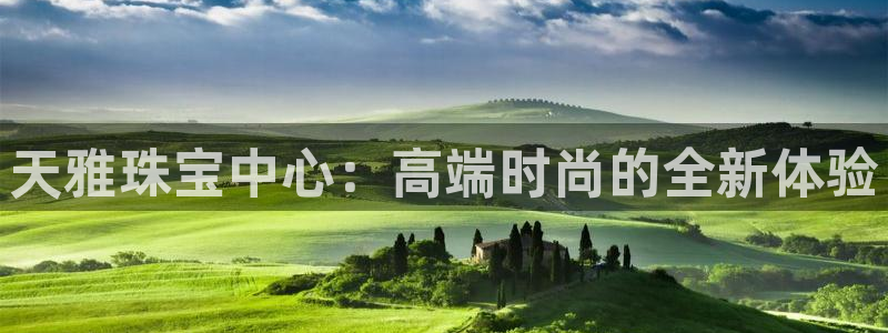 开丰娱乐线路：天雅珠宝中心：高端时尚的全新体验