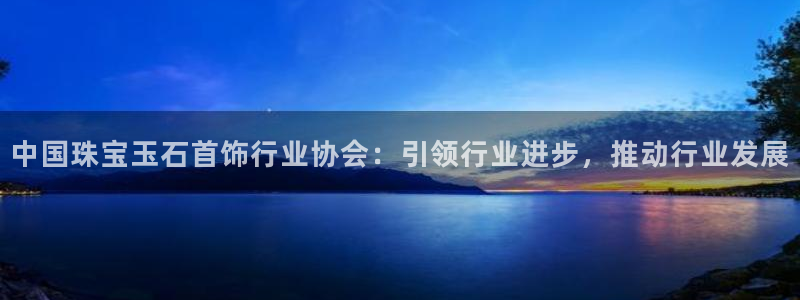 开丰娱乐日：中国珠宝玉石首饰行业协会：引领行业进步，推动行业发展