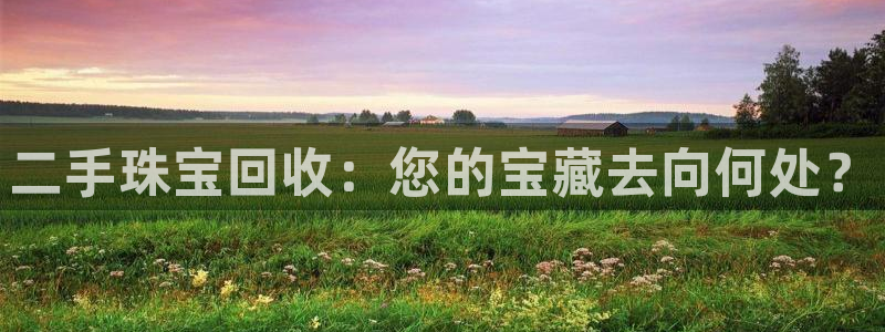 开丰娱乐官网登录网址：二手珠宝回收：您的宝藏去向何处？