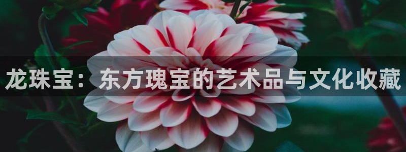 开丰娱乐官网：龙珠宝：东方瑰宝的艺术品与文化收藏