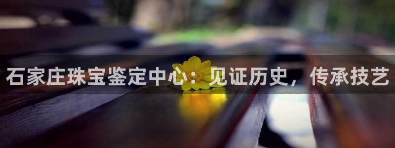 开丰娱乐上7O667：石家庄珠宝鉴定中心：见证历史，传承技艺