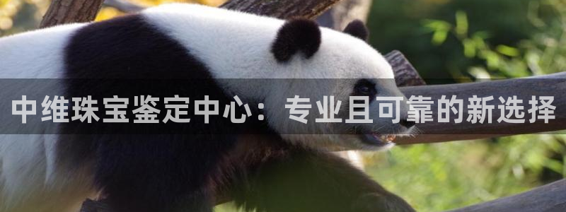 开丰娱乐登入地址在哪：中维珠宝鉴定中心：专业且可靠的新选择