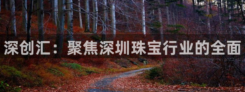 开丰娱乐登录地址入口：深创汇：聚焦深圳珠宝行业的全面