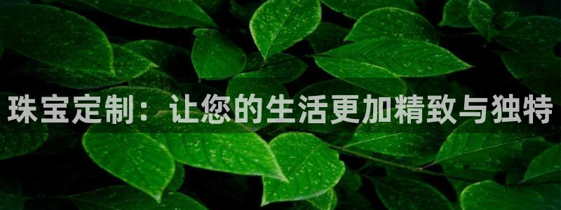 圩丰刚开的娱乐场所：珠宝定制：让您的生活更加精致与独特