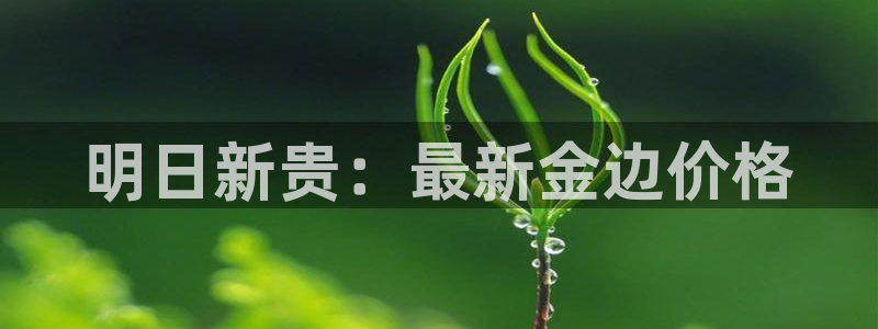 开丰娱乐官网登录网址：明日新贵：最新金边价格