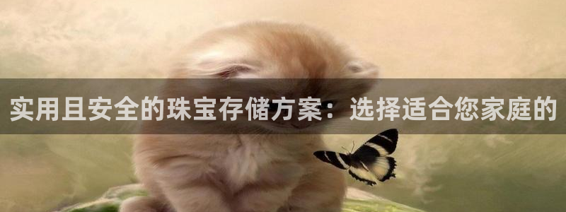 开丰娱乐咋7O777：实用且安全的珠宝存储方案：选择适合您家庭的