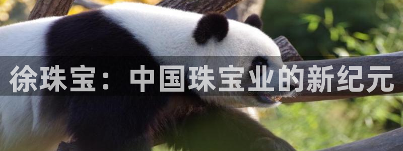 开丰娱乐更多平台：徐珠宝：中国珠宝业的新纪元