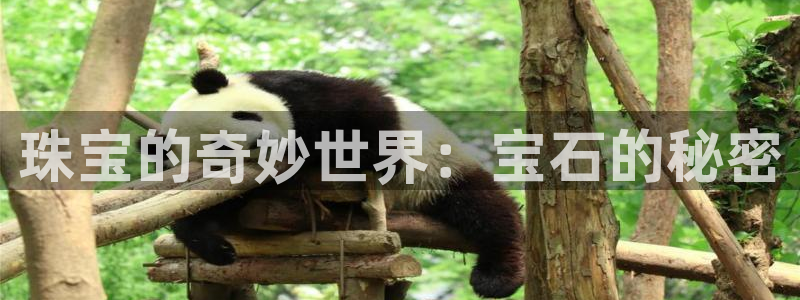 开丰娱乐平台登录网址：珠宝的奇妙世界：宝石的秘密