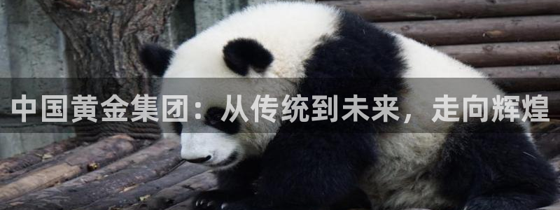 开丰娱乐登录官方网站：中国黄金集团：从传统到未来，走向辉煌