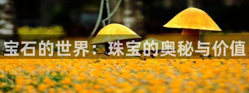 开丰娱乐登入地址在哪里：宝石的世界：珠宝的奥秘与价值