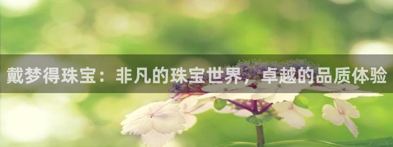 开丰娱乐平台：戴梦得珠宝：非凡的珠宝世界，卓越的品质体验