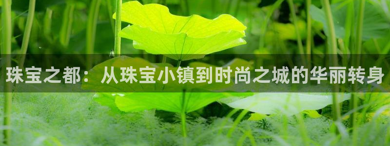 开丰娱乐官网平台电话：珠宝之都：从珠宝小镇到时尚之城的华丽转身
