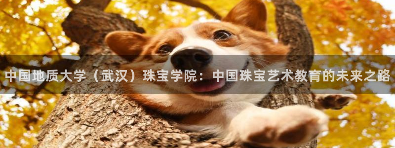 开丰娱乐月：中国地质大学（武汉）珠宝学院：中国珠宝艺术教育的未来之路