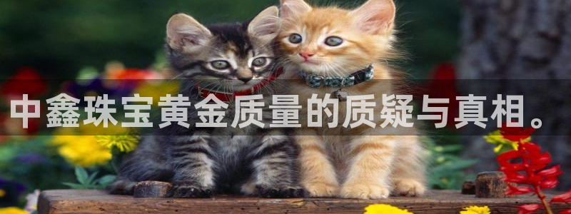 开丰娱乐官网平台网址：中鑫珠宝黄金质量的质疑与真相。