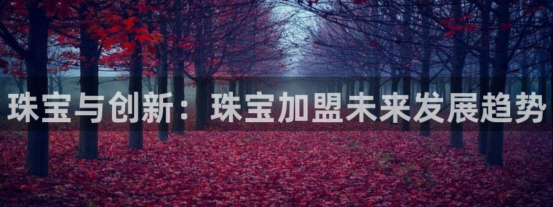 开丰娱乐予 7O935：珠宝与创新：珠宝加盟未来发展趋势