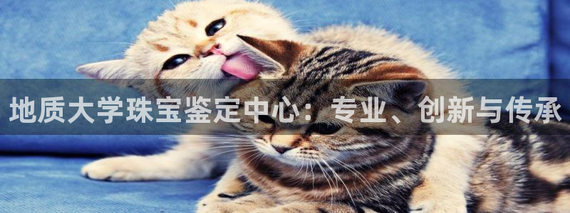 开丰娱乐注册登录不了：地质大学珠宝鉴定中心：专业、创新与传承