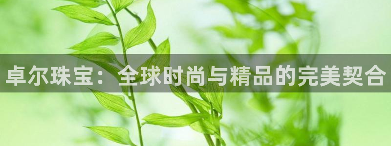 开丰娱乐行业恢复时间：卓尔珠宝：全球时尚与精品的完美契合