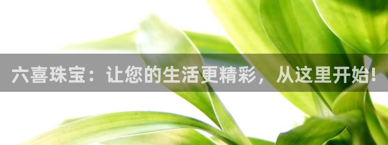 开丰娱乐主管：六喜珠宝：让您的生活更精彩，从这里开始!