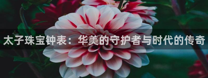 开丰娱乐网站官网首页