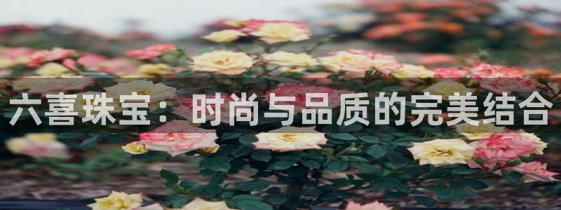开丰娱乐登入地址在哪查