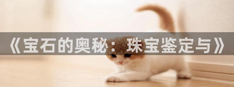 开丰娱乐平台注册地址：《宝石的奥秘：珠宝鉴定与》