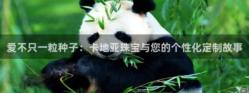 开丰娱乐登录平台：爱不只一粒种子：卡地亚珠宝与您的个性化定制故事