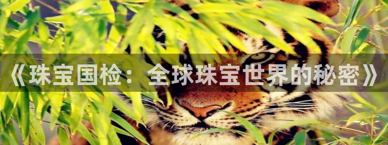 开丰娱乐日7O667