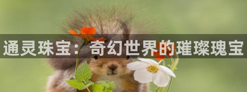 开丰娱乐登录平台：通灵珠宝：奇幻世界的璀璨瑰宝