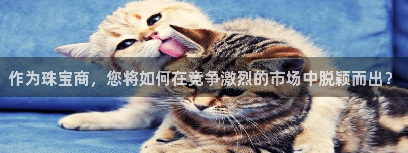 开丰娱乐体育平台：作为珠宝商，您将如何在竞争激烈的市场中脱颖而出？