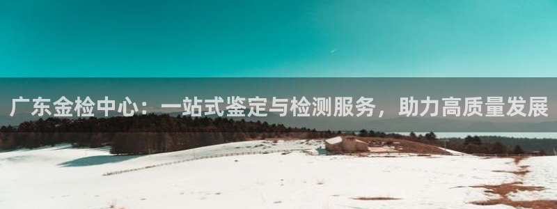 开丰娱乐乙833_43：广东金检中心：一站式鉴定与检测服务，助力高质量发展