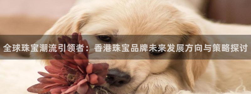 开丰娱乐姜333OO：全球珠宝潮流引领者：香港珠宝品牌未来发展方向与策略探讨