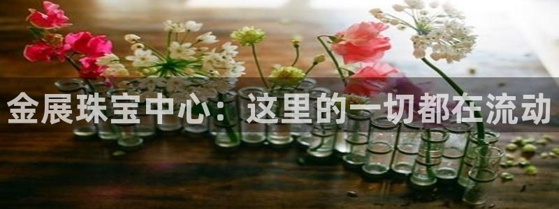 下载开丰娱乐：金展珠宝中心：这里的一切都在流动