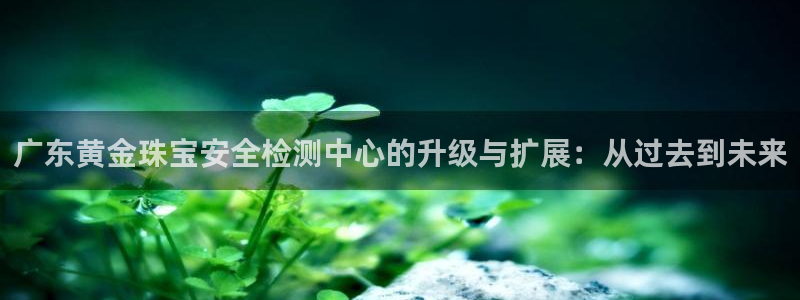 开丰娱乐平台注册地址：广东黄金珠宝安全检测中心的升级与扩展：从过去到未来