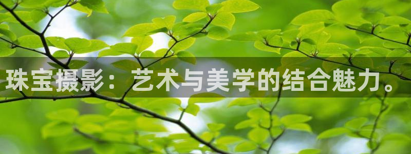 开丰娱乐前：珠宝摄影：艺术与美学的结合魅力。